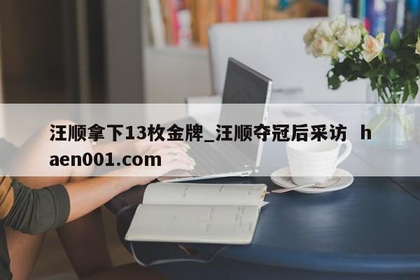 汪顺拿下13枚金牌_汪顺夺冠后采访  haen001.com